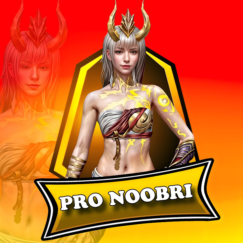 Pro Noobri