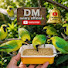 onRlYcmi4x0-channel-avatar-Aviary DM official 
