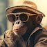 cjtASrKtpos-channel-avatar-avideo4u