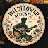 B3mQOnwEC_s-channel-avatar-Wildflower Acoustic