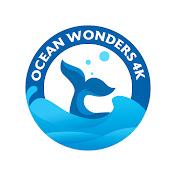 Ocean Wonders 4K