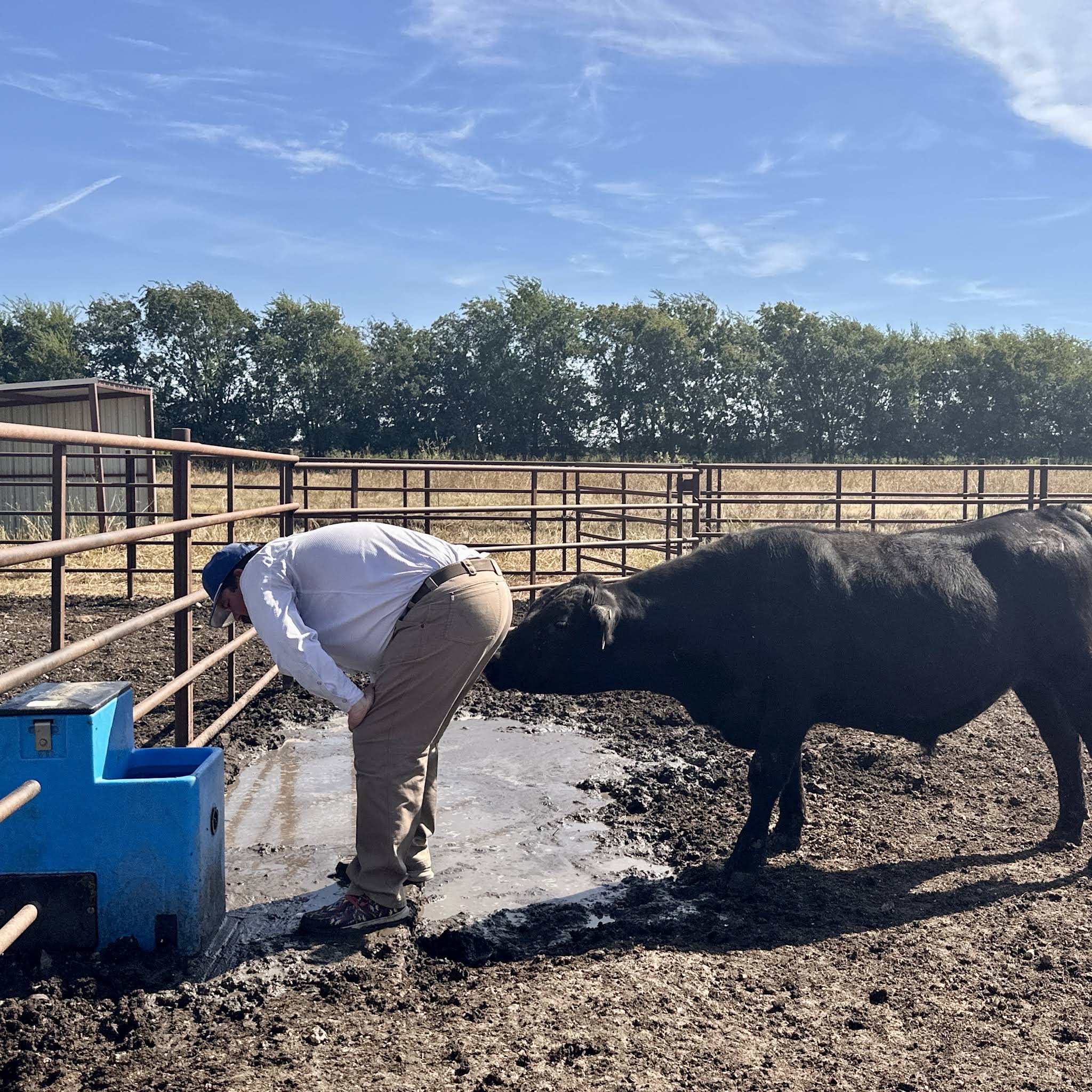 Post from Bar 7 Ranch