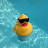 @CkCk-yp5xz