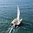 Wildling Sailing