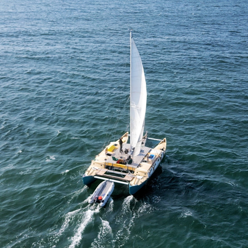 Wildlingsailing