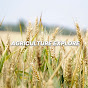 Agriculture Explore logo