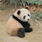 @jeongyun_stella