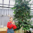 Channel Image