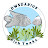 DWSDARIUS FISH TANKS