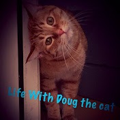 Life With Doug (the cat)