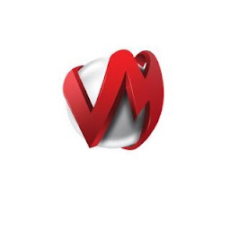 VM Mahalingam photo