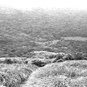 Concrete Fence - Topik  - Channel 