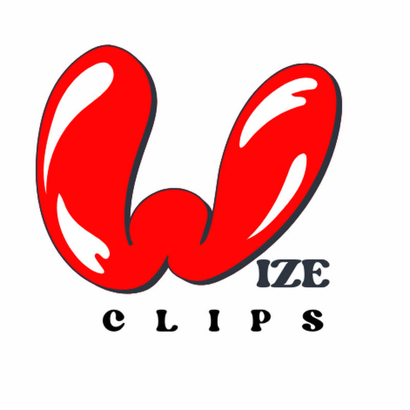 WiZe ClipS