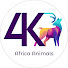 Africa Animals 4K