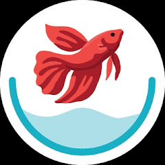 Thumbnail of related channel