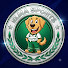 KuLkBNI5fTA-channel-avatar-ElmaSportsOficial