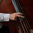 bK_sUYAUfSo-channel-avatar-Pedro Ivo Ferreira