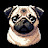 All_pug