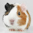 @serrael-182's avatar
