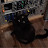 @reallyniceaudio's avatar