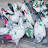  Pigeon Sale Prayagraj 