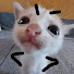 m-Gtn6znUI8-channel-avatar-im totally a guy2332