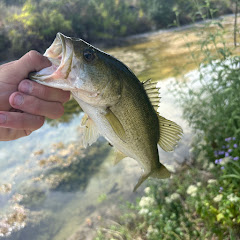 CreekBro