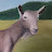 @lowercasegoat's avatar