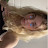 @Hannahleann5209