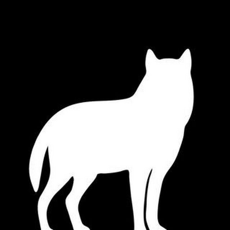 PÖFF | Tallinn Black Nights Film Festival