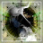 avatar of @xxsaucerxx-pl3yo