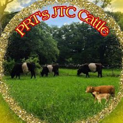 PRT's JTC Cattle Avatar