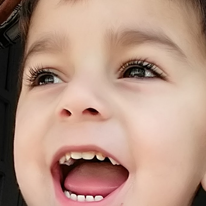 Shayan Info