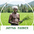 oXyVCHheu9U-channel-avatar-Jaffna Farmer