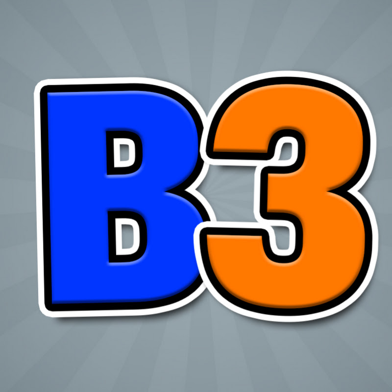 The B3 Logo