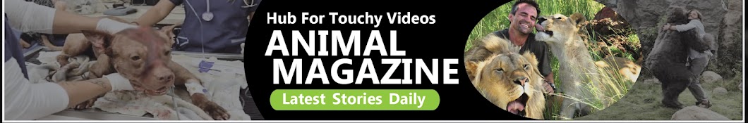 Animal Magazine Avatar del canal de YouTube