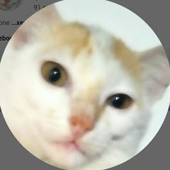 Ửik nhất thế giới 🐿