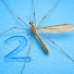 i4czmbC9124-channel-avatar-Komar 2