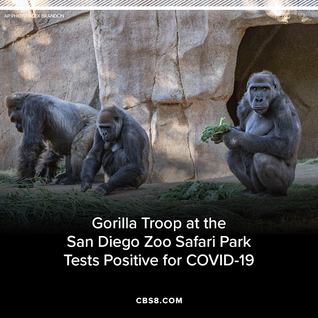 EPfXkIsT7q47xC9PGx-vUh9YqBcLaWClxi4EHAVPg0JKzYgsWZAuOTtbuV4D9W-8xHpc0pAd5sSxsMo=s640-nd