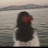 @MariamMahmoud-c4n8w