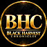 4vYURrfrzW0-channel-avatar-Black Harvest Chronicles
