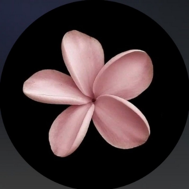 Hire Chomutubee — Beauty & Fashion YouTube creator for sponsorships