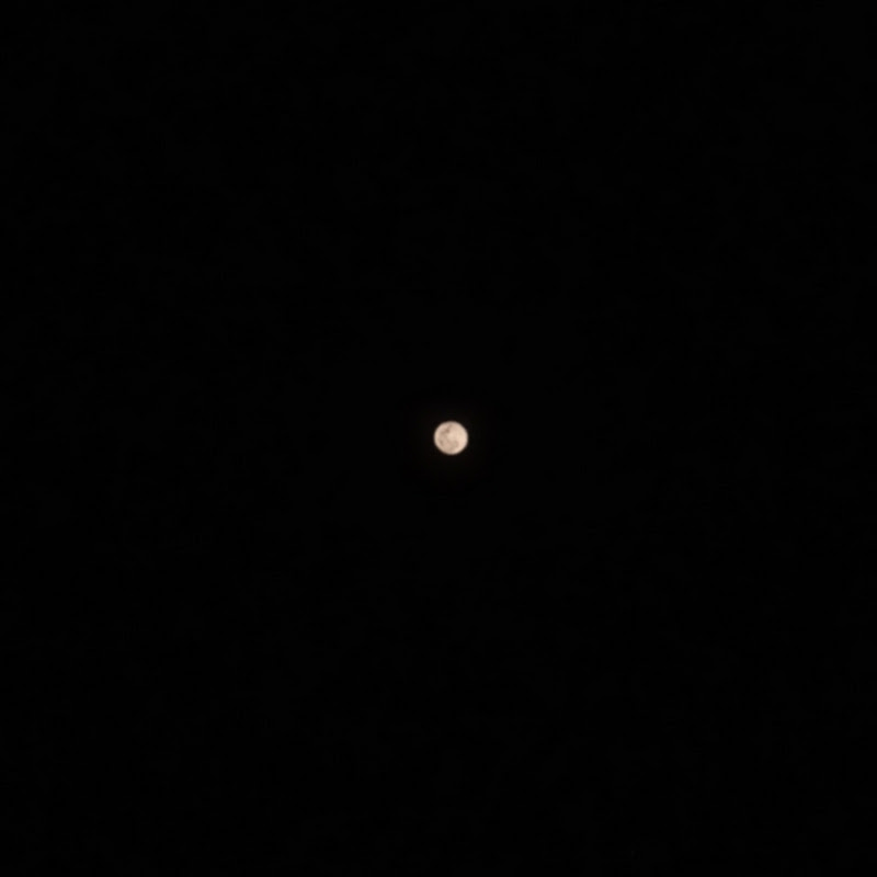 Lyrics wallah🎶💗