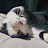 @illia1305
