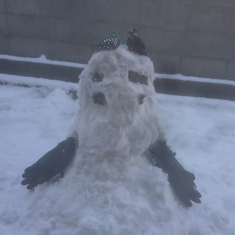 Tたく