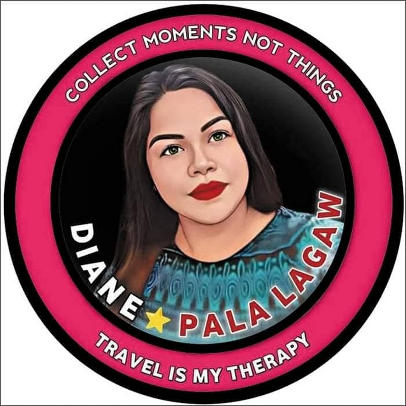 Diane The Traveller