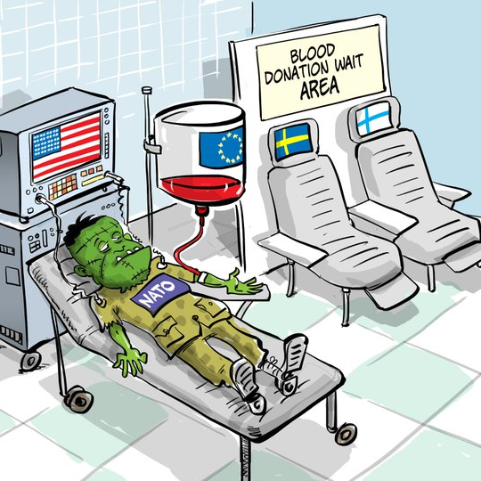 ER06Y9xpqLxnTbYGQrJq8R6-OplZKz8BMZEbl_1UDYqbYYMGWvnJum8hR1WO28tRr6hbVw5MKwGCUg=s540-c-fcrop64=1,31110000caaaffff-nd-v1