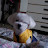 @homesuhyeon