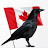 @The-Canadaman-Crow