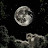 @منيضر-ض8ك